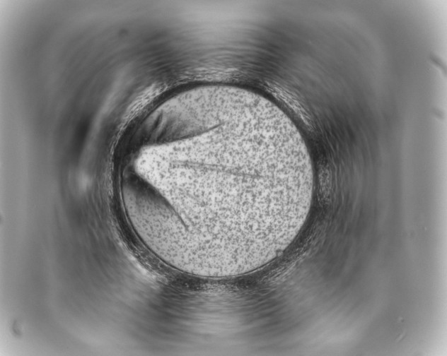 X0000094960682200712201201