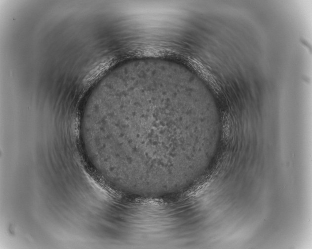 X0000094960683200712201201