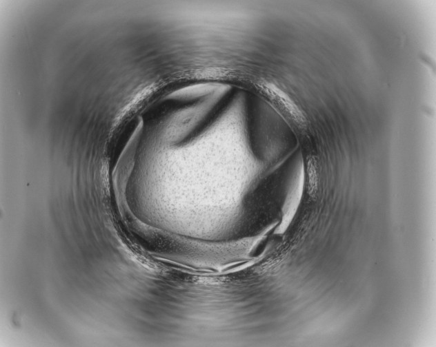 X0000094960684200712201201