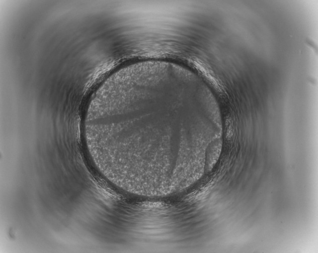 X0000094960685200712201201