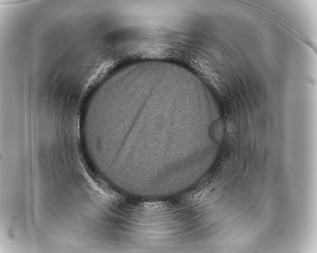 X0000094960686200712201201