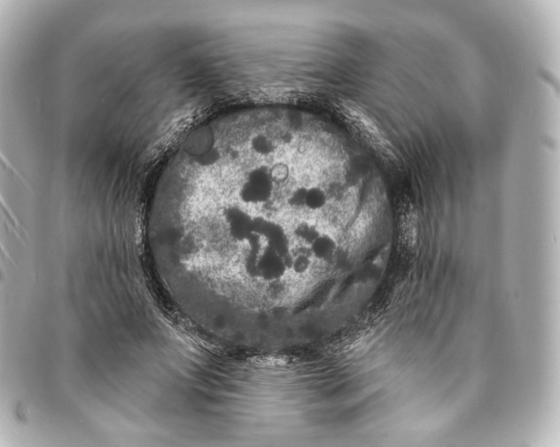 X0000094960687200712201201