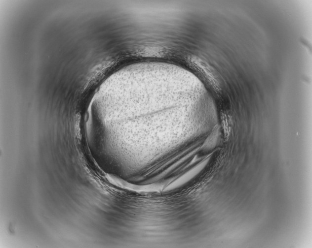 X0000094960688200712201201