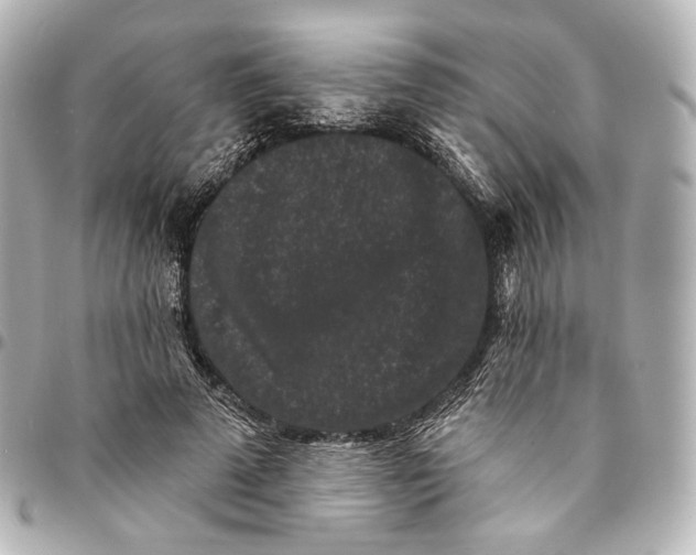 X0000094960689200712201201