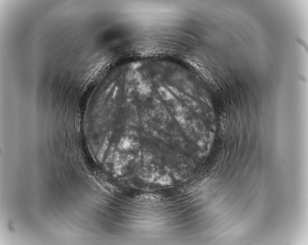 X0000094960691200712201201