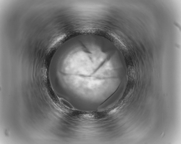 X0000094960692200712201201