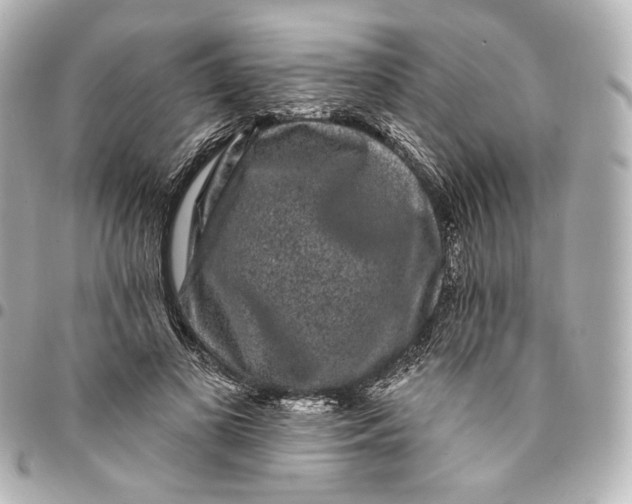 X0000094960693200712201201