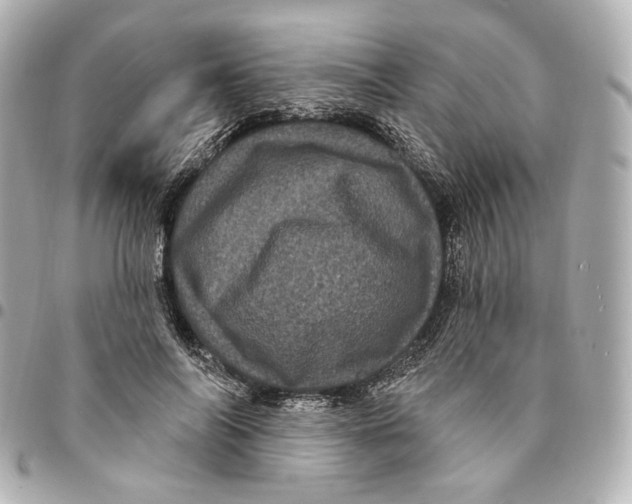 X0000094960694200712201201