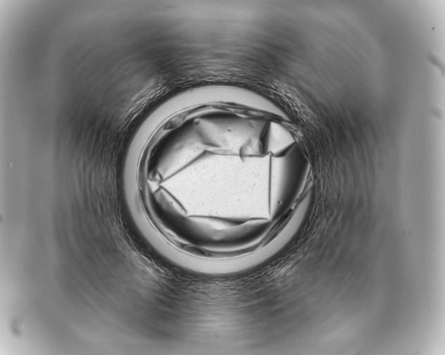 X0000094960696200712201201