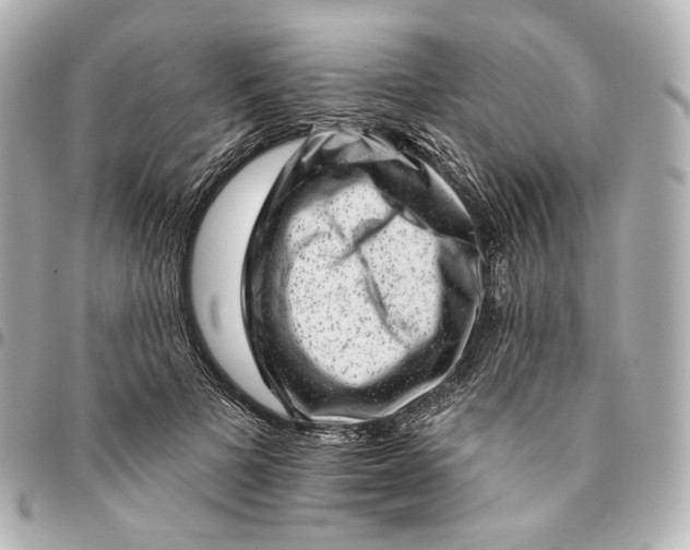 X0000094960697200712201201