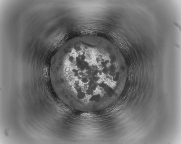 X0000094960699200712201201