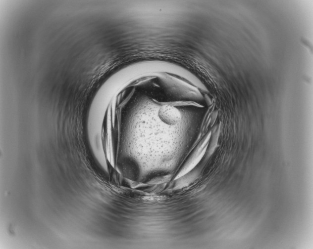 X0000094960700200712201201