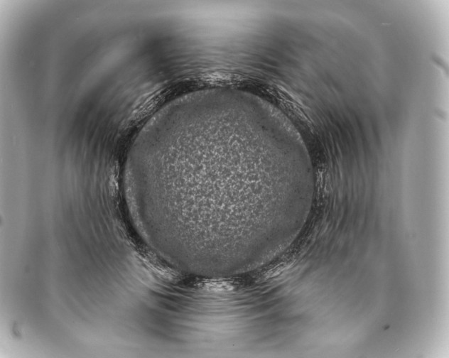 X0000094960702200712201201