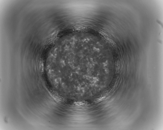 X0000094960703200712201201