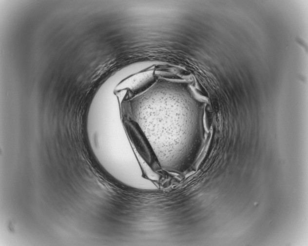 X0000094960704200712201200