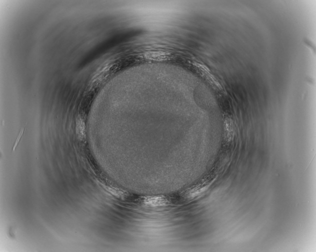 X0000094960705200712201200