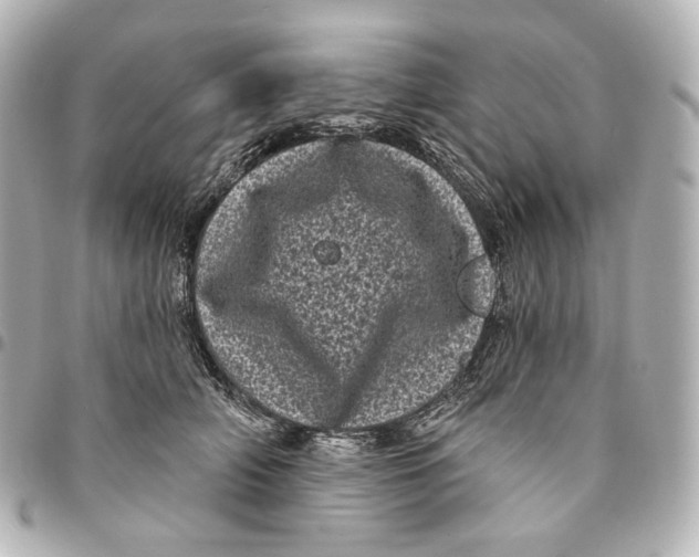 X0000094960706200712201200