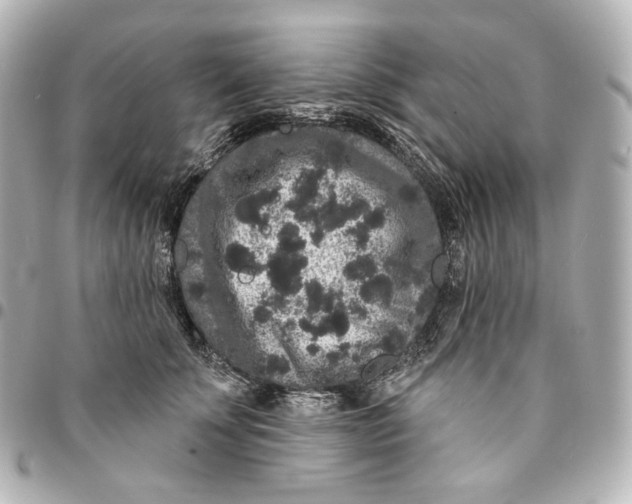 X0000094960707200712201200