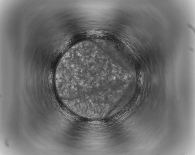 X0000094960708200712201200