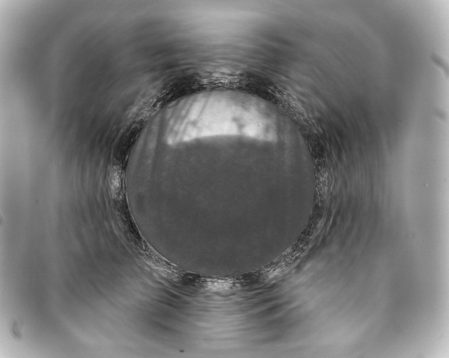 X0000094960709200712201200