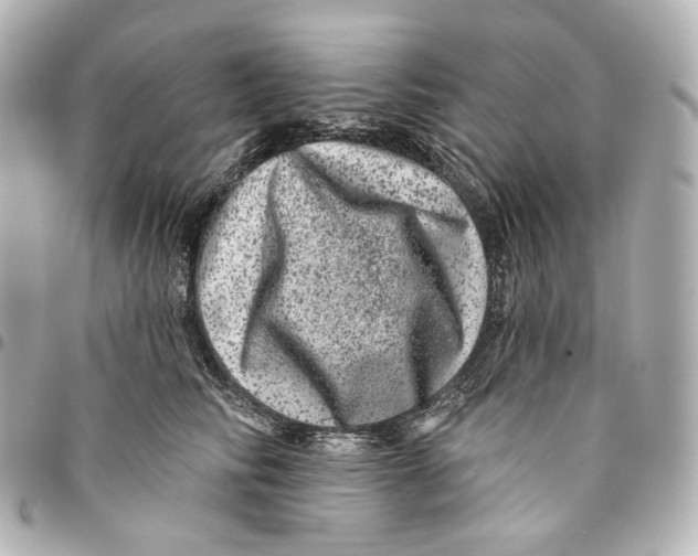 X0000094960710200712201200