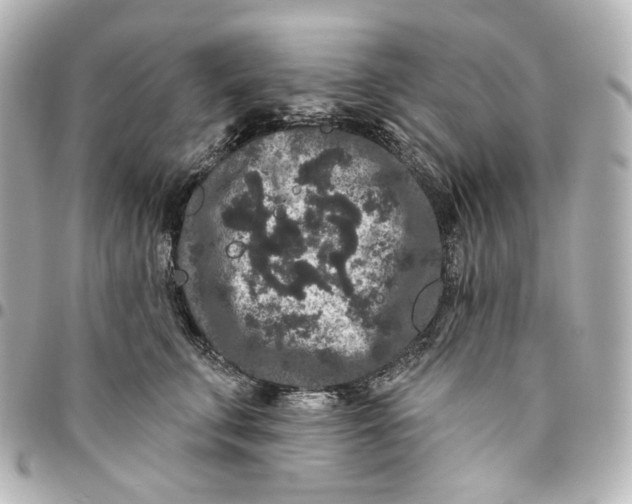 X0000094960711200712201200