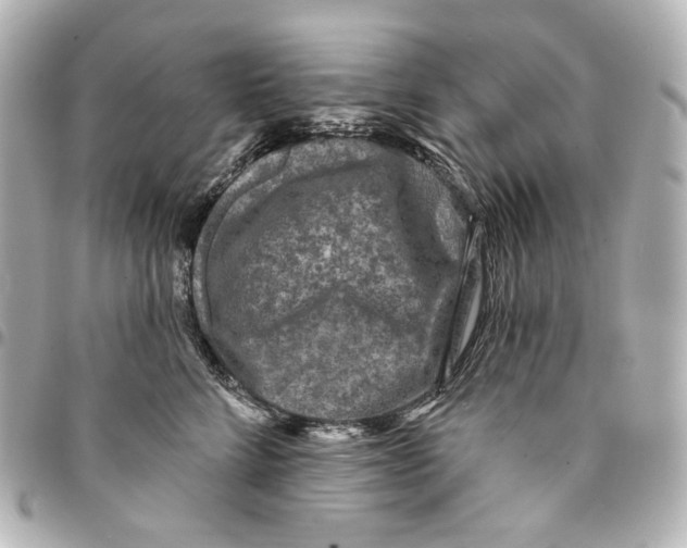 X0000094960712200712201200