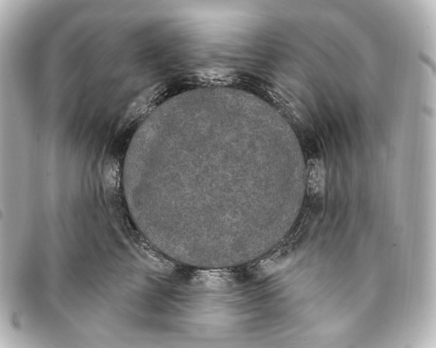 X0000094960713200712201200