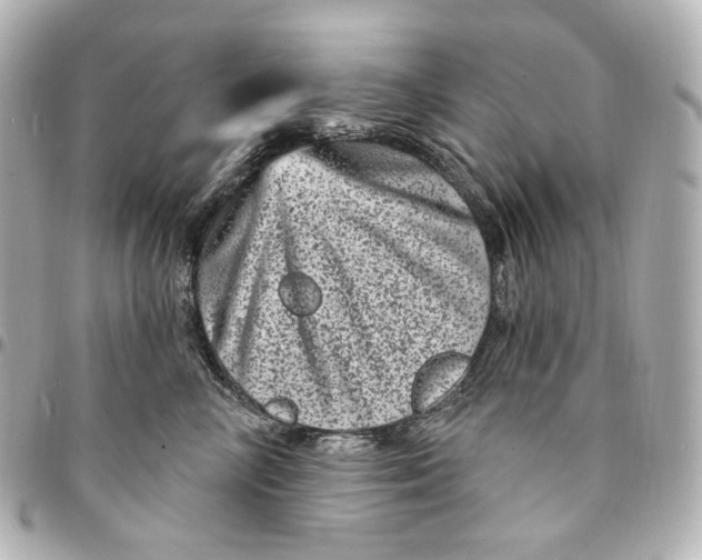 X0000094960714200712201200