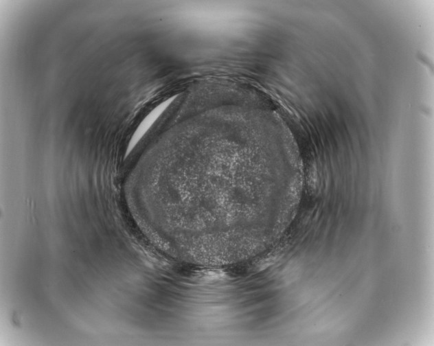 X0000094960715200712201200