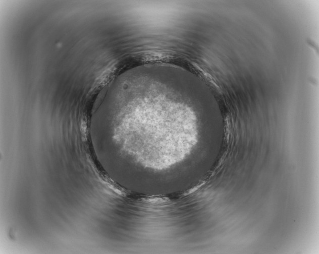 X0000094960716200712201200