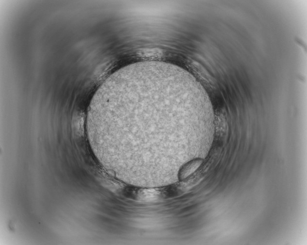 X0000094960717200712201200