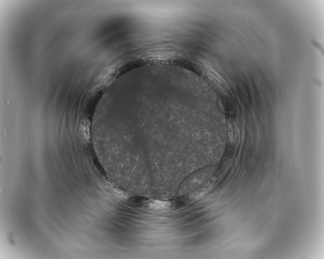 X0000094960718200712201200