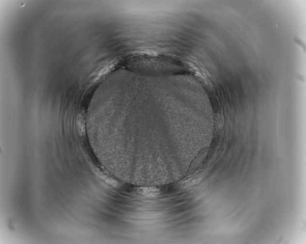 X0000094960719200712201200