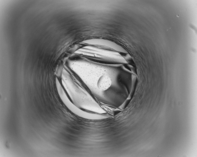 X0000094960720200712201200