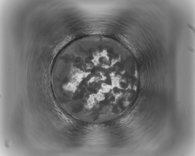 X0000094960721200712201200