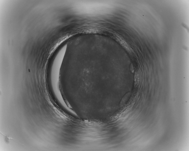 X0000094960722200712201200