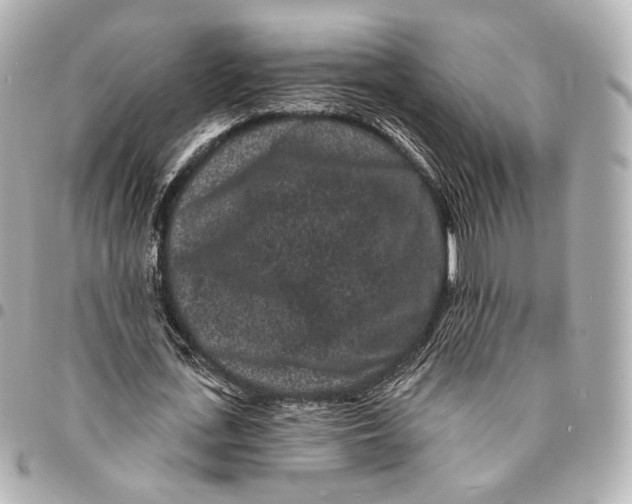 X0000094960723200712201200