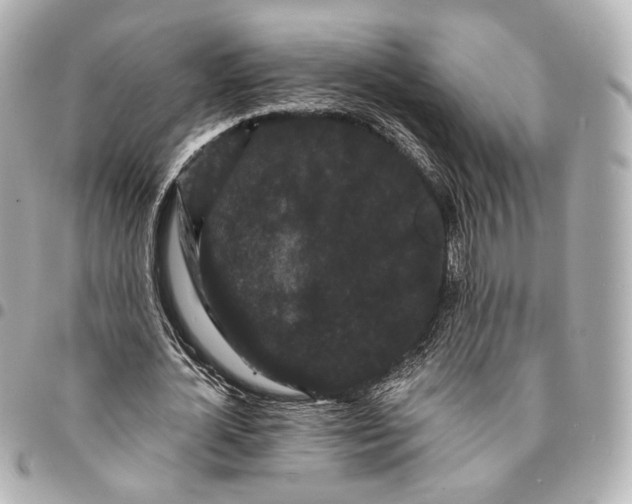 X0000094960724200712201200