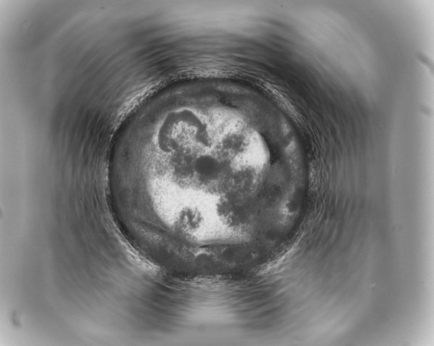 X0000094960725200712201200