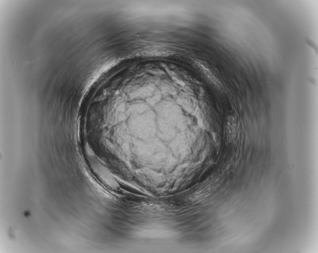 X0000094960726200712201200