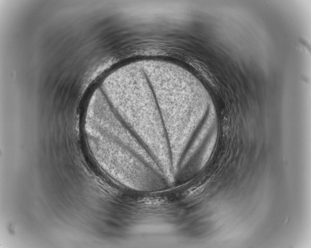 X0000094960727200712201200