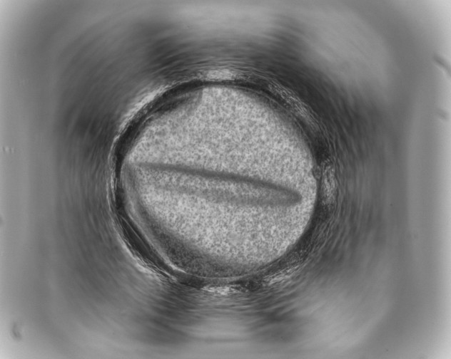 X0000094960728200712201200