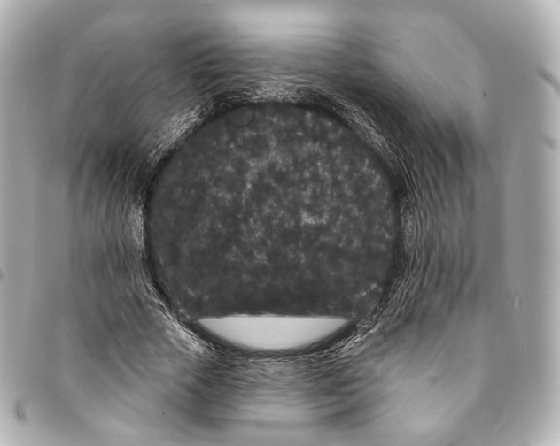 X0000094960729200712201200