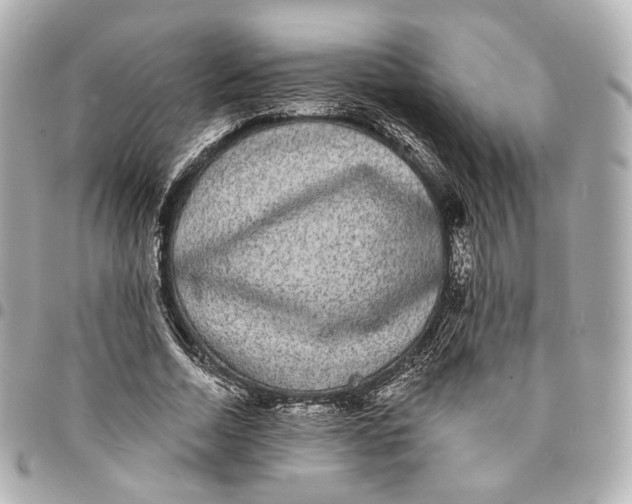 X0000094960730200712201200