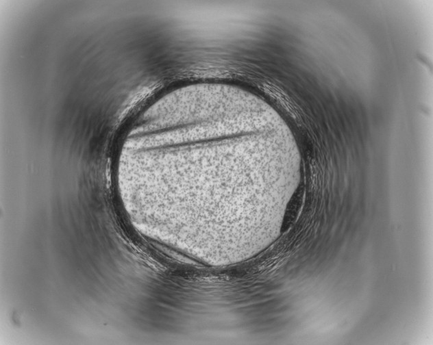 X0000094960731200712201200