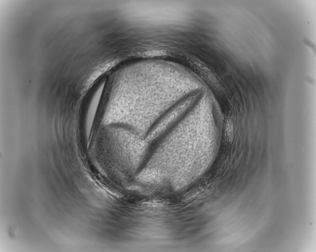 X0000094960732200712201200