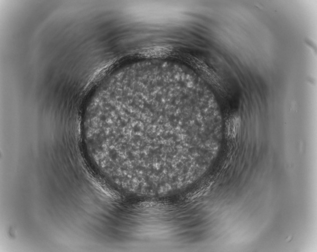 X0000094960733200712201200