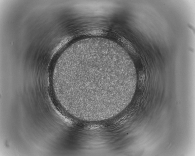 X0000094960734200712201200