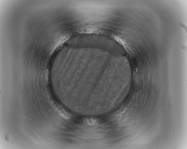 X0000094960735200712201200